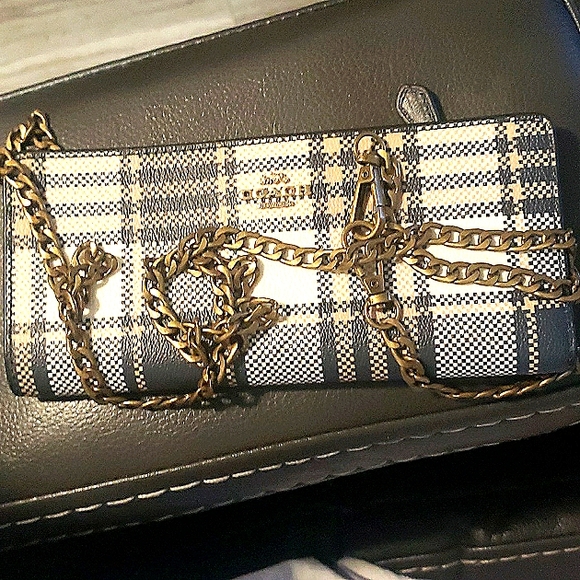 Coach Wallet/Crossbody Unbranded Chain EUC - Picture 2 of 11